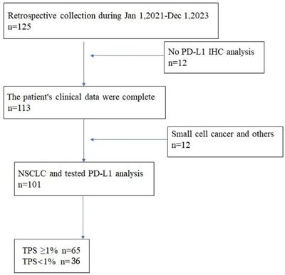 Deep learning-based image analysis predicts PD-L1 status from 18F-FDG PET/CT images in non-small-cell lung cancer